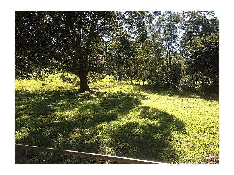 221 Graham Road, Marom Creek NSW 2480