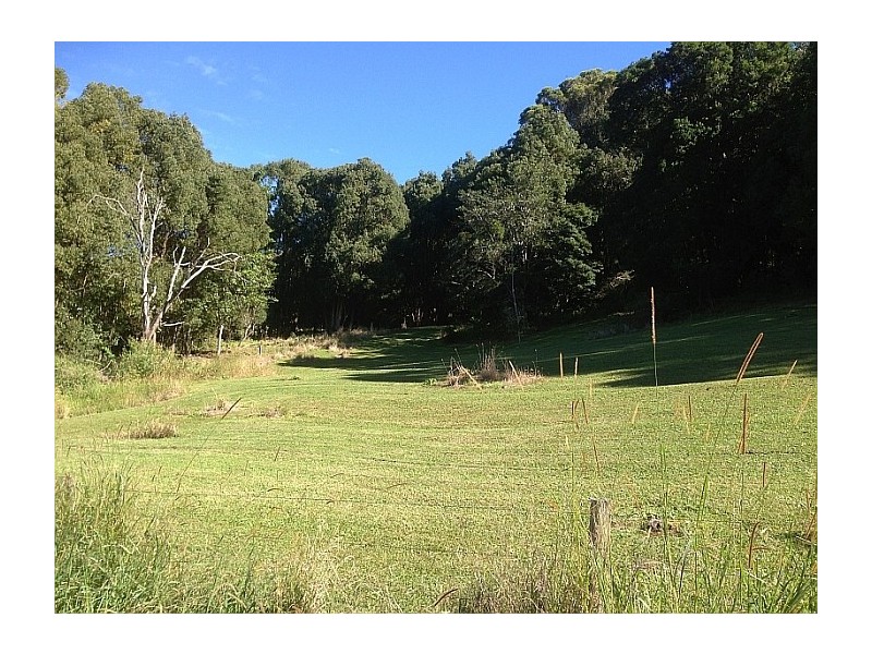 221 Graham Road, Marom Creek NSW 2480