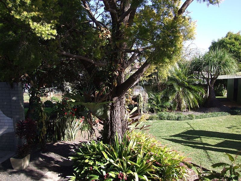 5 McGill Place, Alstonville NSW 2477