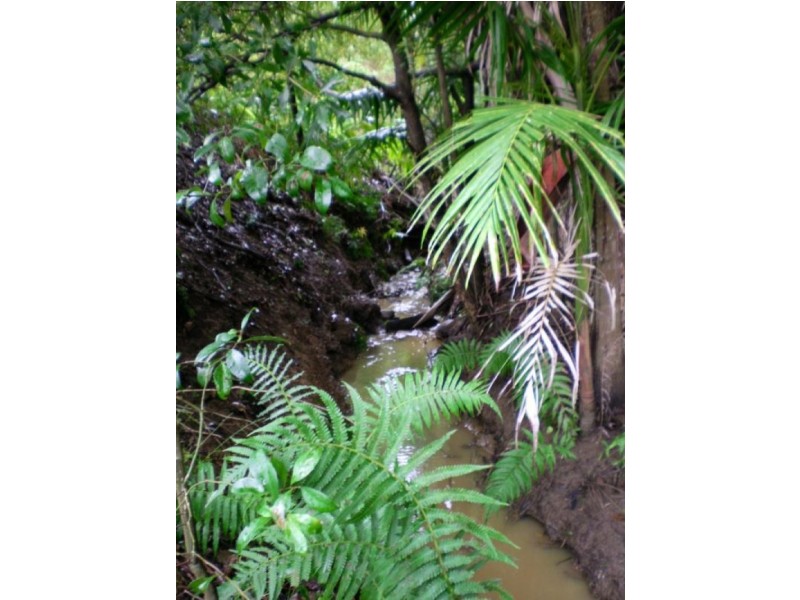 48 Amber Place, Alstonville NSW 2477