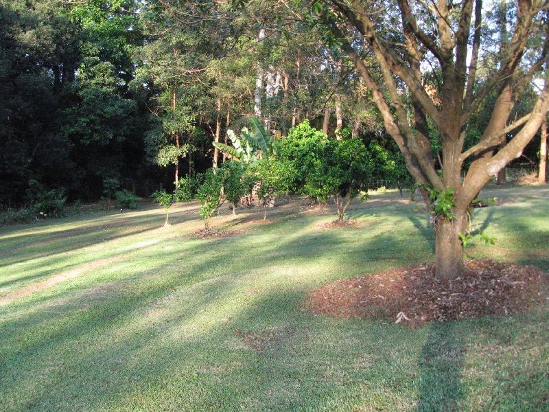 31 Nelson Chase, Tuckombil NSW 2477