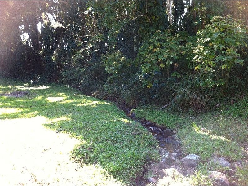 127 Bagotville Road, Meerschaum Vale NSW 2477