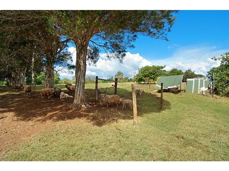 67 Converys Lane, Wollongbar NSW 2477