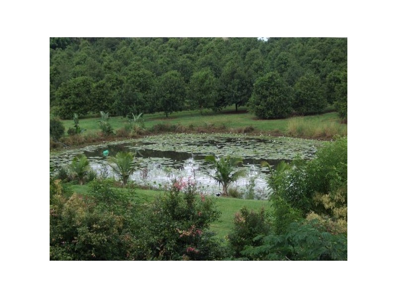 1 Alexander Road, Pearces Creek NSW 2477