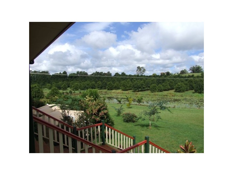 1 Alexander Road, Pearces Creek NSW 2477