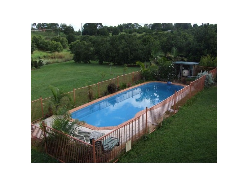 1 Alexander Road, Pearces Creek NSW 2477