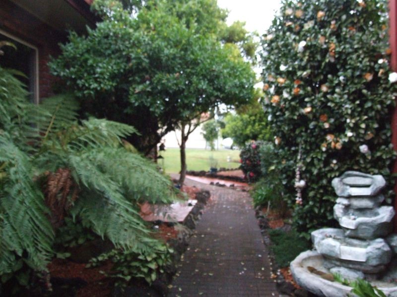66 Adele Street, Alstonville NSW 2477