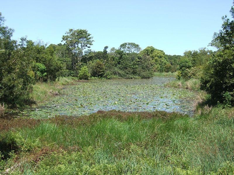 38 May Street, Dunoon NSW 2480