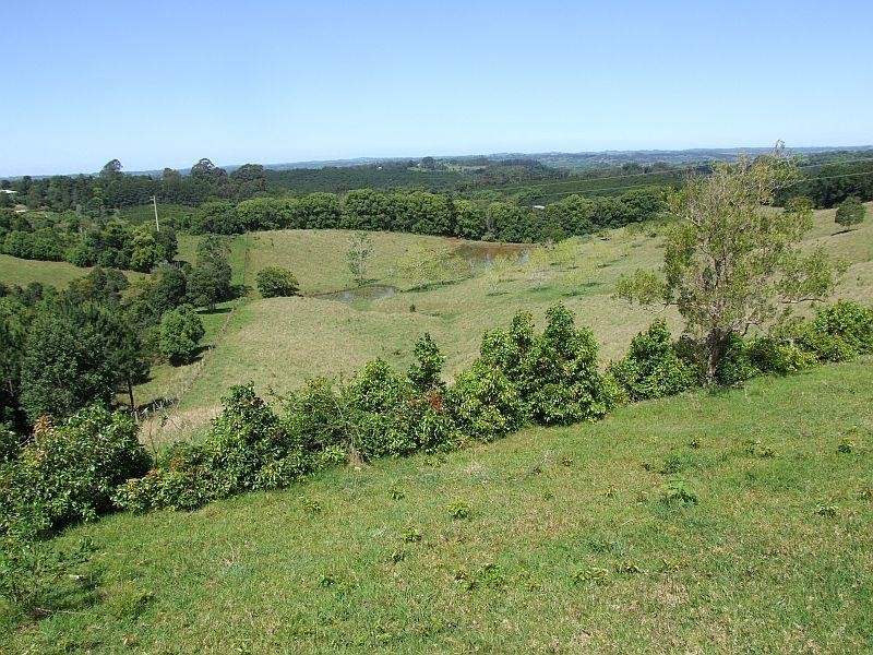 38 May Street, Dunoon NSW 2480