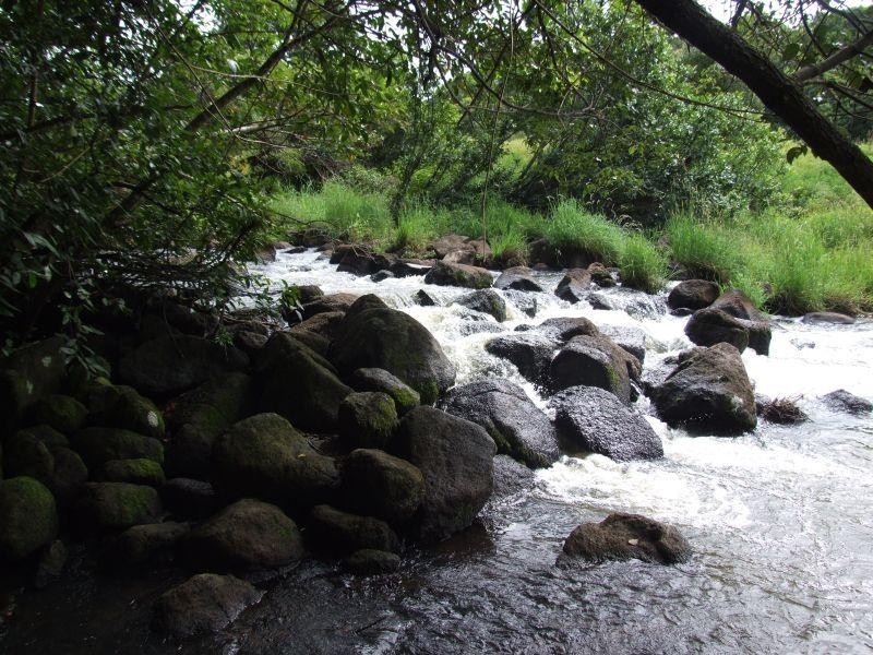 163 Boundary Road, Lindendale NSW 2480