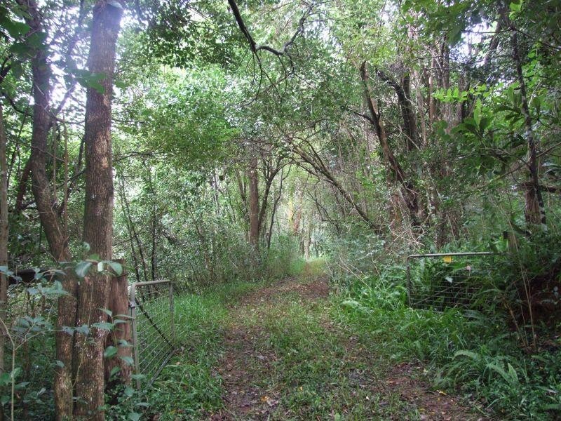 163 Boundary Road, Lindendale NSW 2480