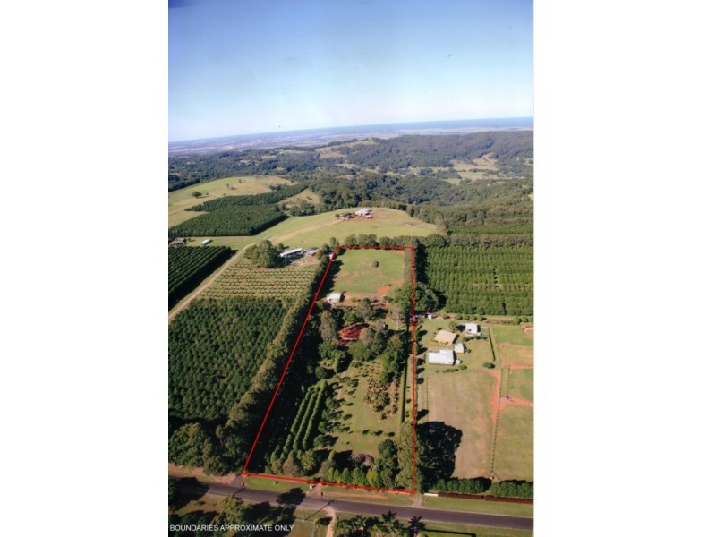 509 Wardell Road, Dalwood NSW 2477