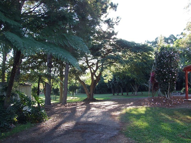 509 Wardell Road, Dalwood NSW 2477