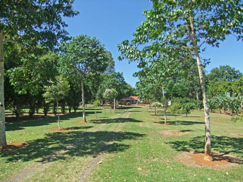 509 Wardell Road, Dalwood NSW 2477