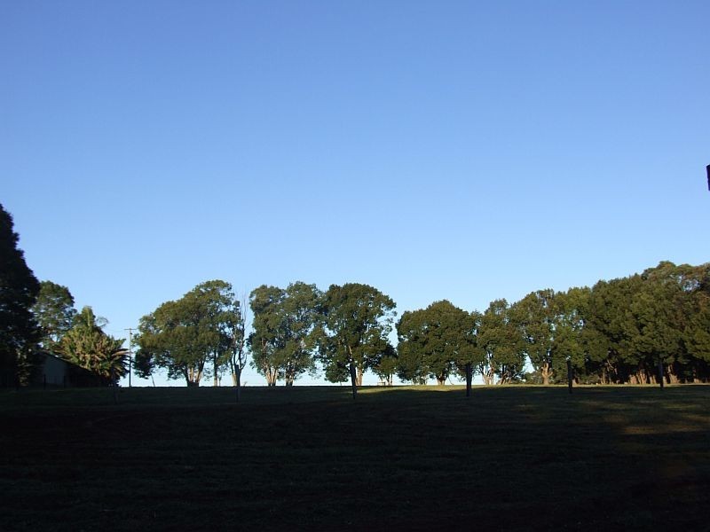 509 Wardell Road, Dalwood NSW 2477