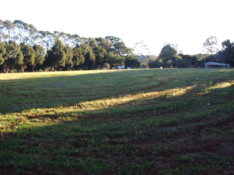 509 Wardell Road, Dalwood NSW 2477