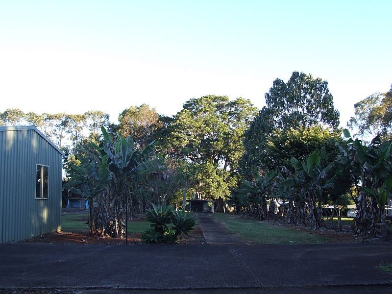 509 Wardell Road, Dalwood NSW 2477