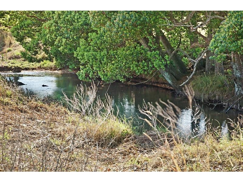 302 Lindendale Road, Lindendale NSW 2480