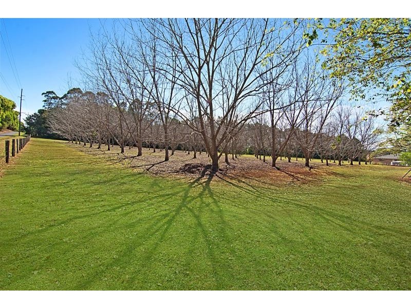 302 Lindendale Road, Lindendale NSW 2480