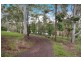 245a Connor Road, Tregeagle NSW 2480