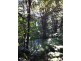 245a Connor Road, Tregeagle NSW 2480