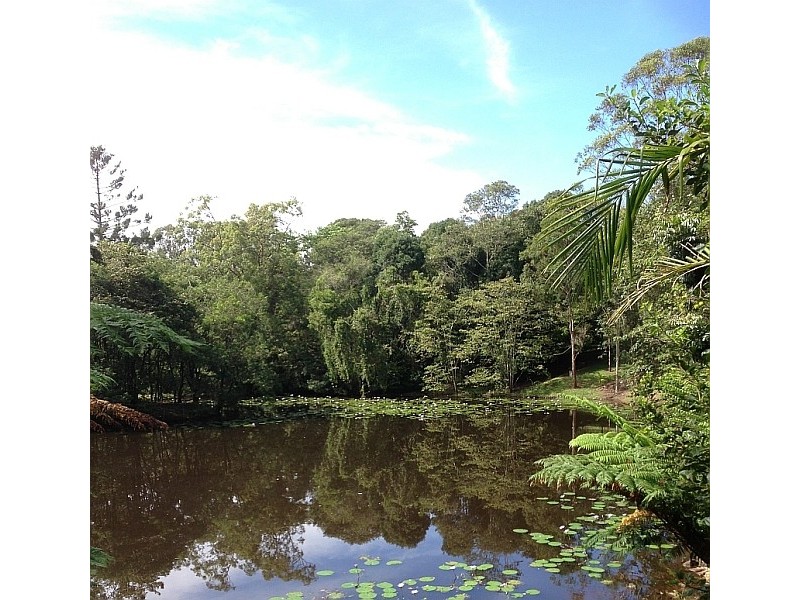 89 Platypus Drive, Alstonville NSW 2477