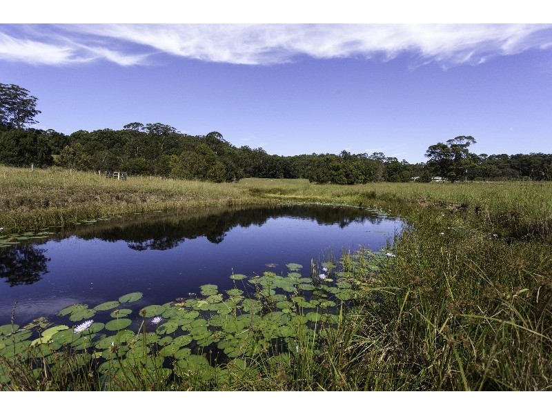 873 Wardell Road, Meerschaum Vale NSW 2477