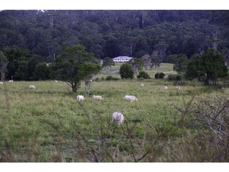 873 Wardell Road, Meerschaum Vale NSW 2477