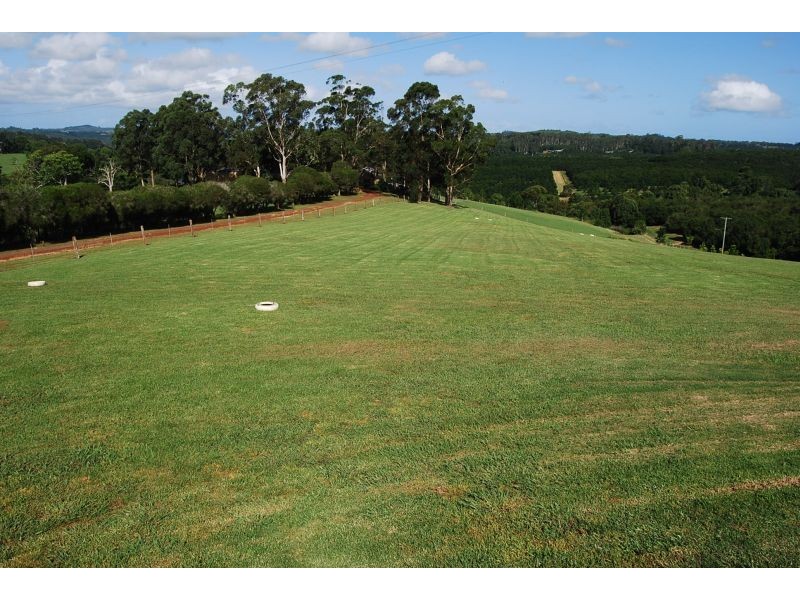 732 Cowlong Road, Mcleans Ridges NSW 2480