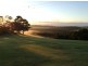 732 Cowlong Road, Mcleans Ridges NSW 2480
