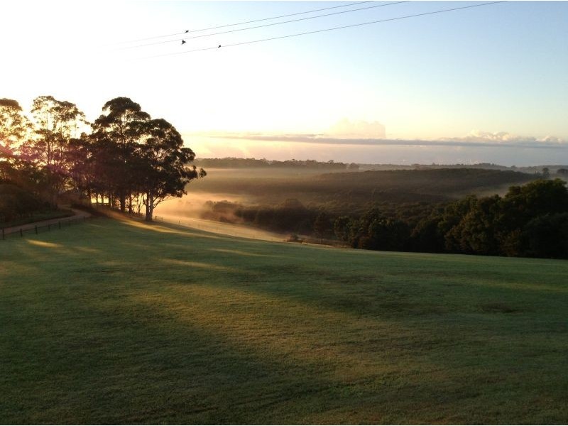 732 Cowlong Road, Mcleans Ridges NSW 2480