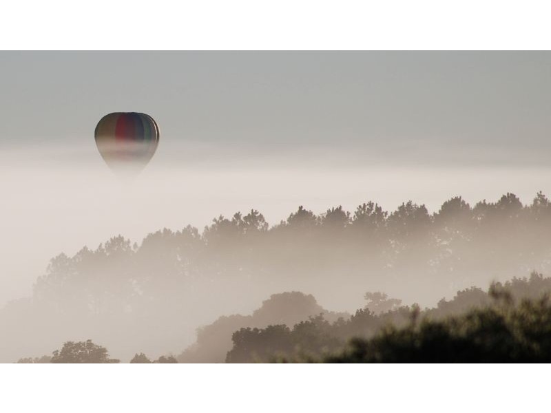 732 Cowlong Road, Mcleans Ridges NSW 2480