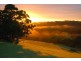 732 Cowlong Road, Mcleans Ridges NSW 2480