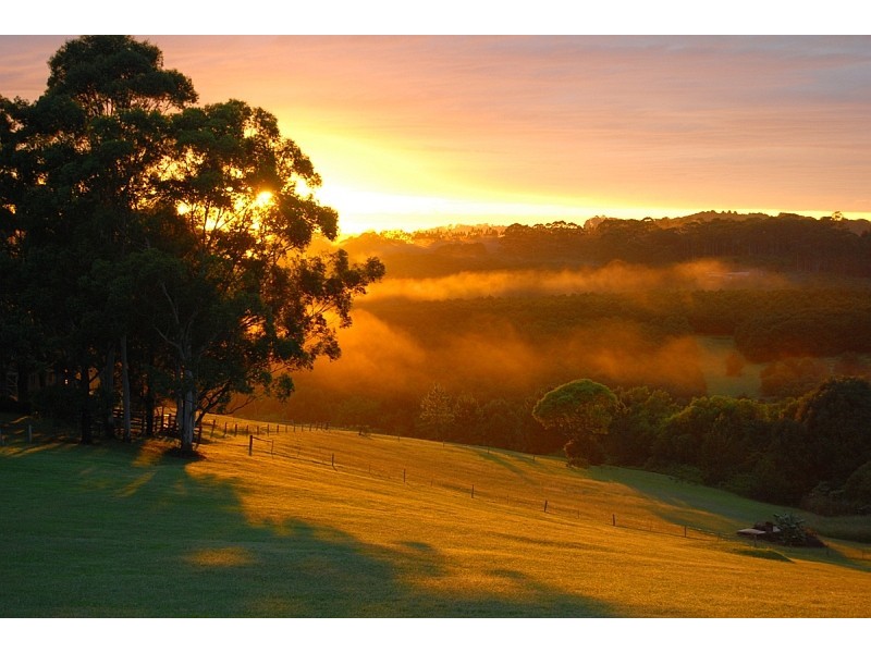 732 Cowlong Road, Mcleans Ridges NSW 2480