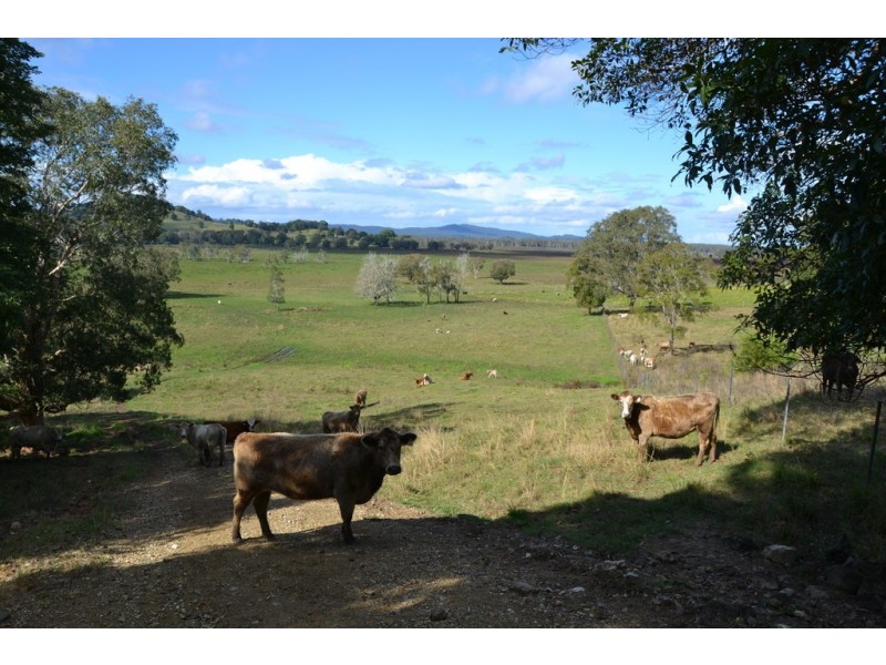 40 Gollan Road, Marom Creek NSW 2480