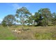 40 Gollan Road, Marom Creek NSW 2480