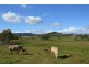 40 Gollan Road, Marom Creek NSW 2480