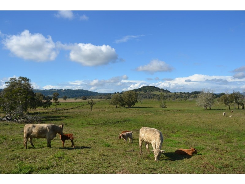 40 Gollan Road, Marom Creek NSW 2480
