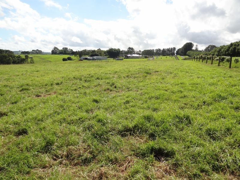 34 Crawfords Lane, Rous Mill NSW 2477