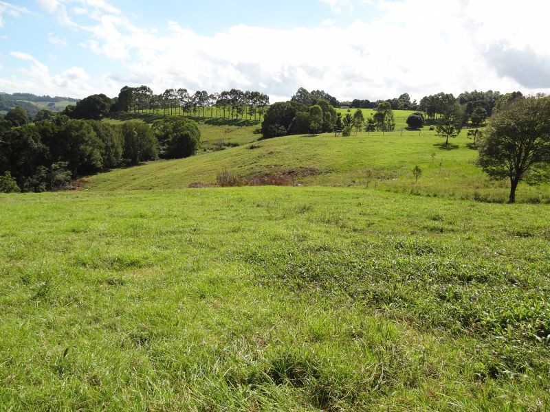 34 Crawfords Lane, Rous Mill NSW 2477