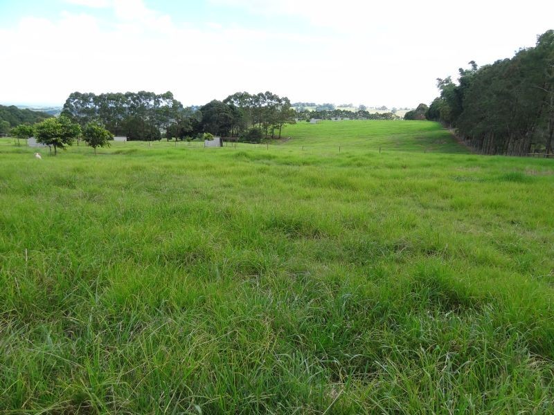 34 Crawfords Lane, Rous Mill NSW 2477
