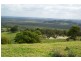 140 Buckombil Mountain Road, Meerschaum Vale NSW 2477