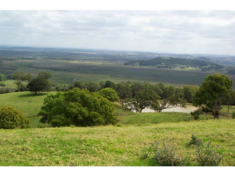 140 Buckombil Mountain Road, Meerschaum Vale NSW 2477