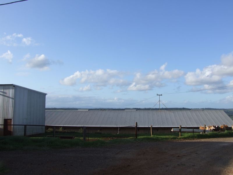 140 Buckombil Mountain Road, Meerschaum Vale NSW 2477