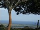 140 Buckombil Mountain Road, Meerschaum Vale NSW 2477