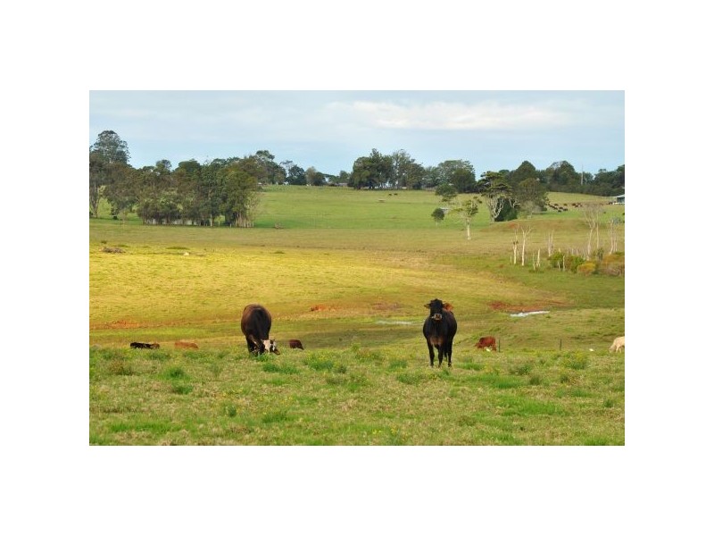 410 Gap Road, Alstonville NSW 2477