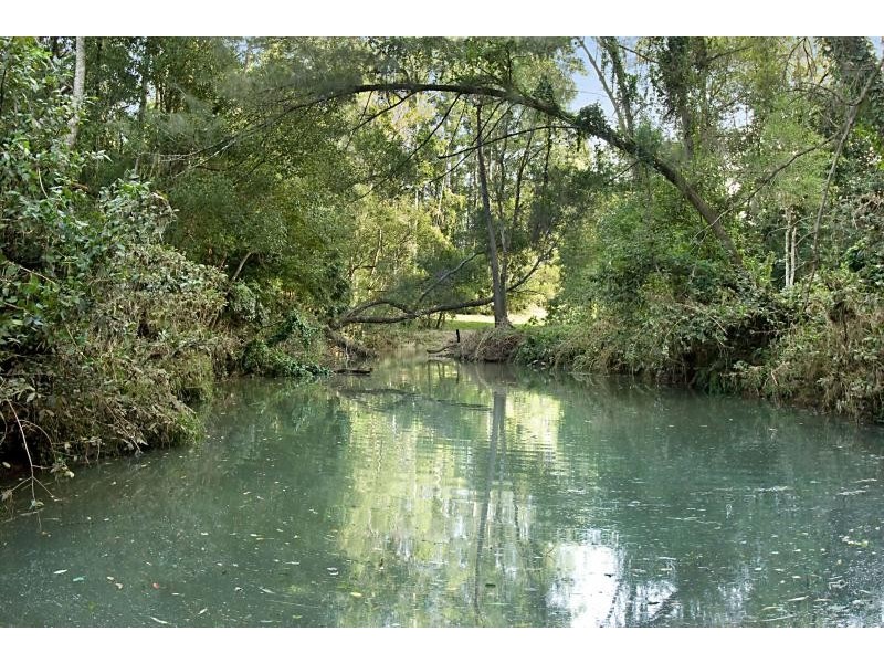 122 Alstonvale Road, Alstonvale NSW 2477