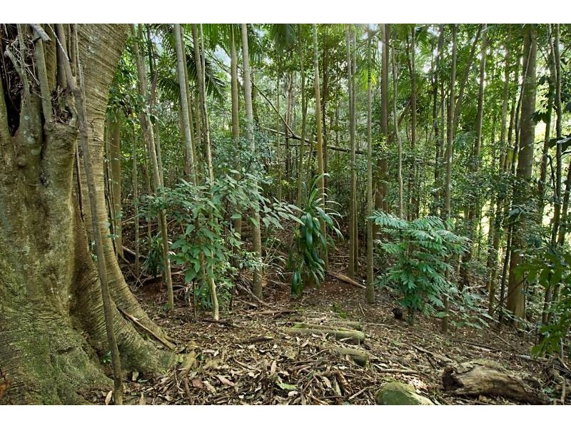 122 Alstonvale Road, Alstonvale NSW 2477