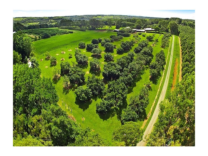 19 Hewetsons Lane, Rous Mill NSW 2477