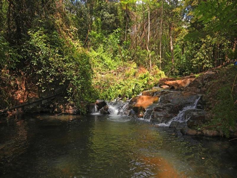 100 Dillons Lane, Alstonville NSW 2477